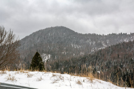 mountains in Romania. view from afarの写真素材