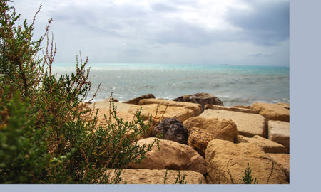 Mediterranean landscape. Coastal stones, cloudy sky, sea view. Plant in the foreground. Spain,...