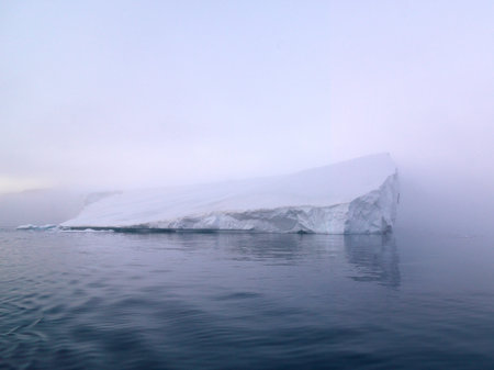Icebergs are on the arctic ocean in Greenland