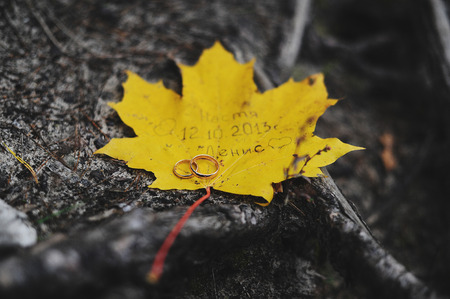 wedding rings on a yellow maple leaf with a wedding memorialの写真素材