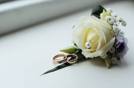 wedding rings and beautiful white roseの写真素材