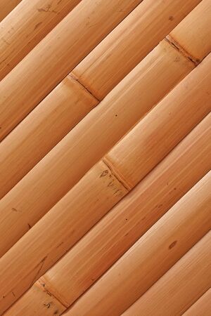 Bamboo interior elementhの写真素材