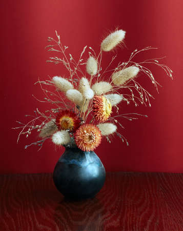 ikebana on red backgroundの写真素材