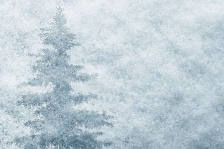 Snow background with christmas treeの写真素材