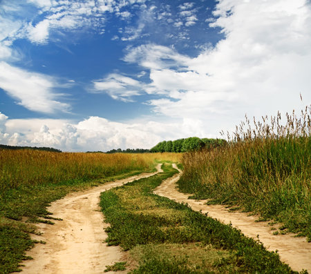 country road in the fields