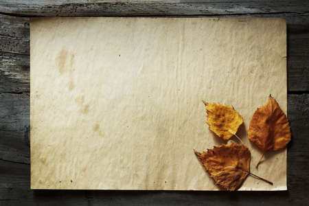 autumn leaves and old paper on wooden backgroundの写真素材