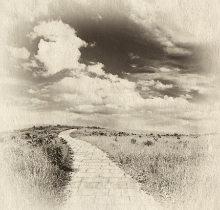 yellow brick road through meadows, fantasy background, retro illustration