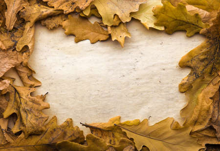 autumn leaves and old paperの写真素材