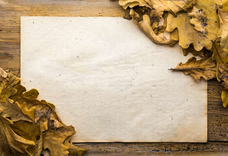 autumn leaves and old paper on wooden background の写真素材