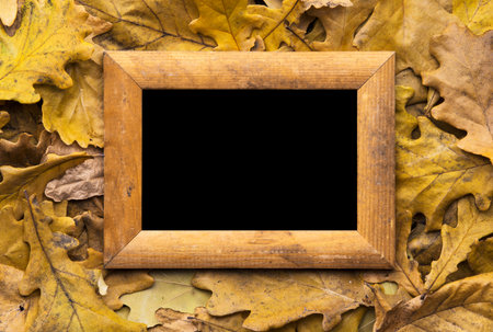 autumn leaves and old photo frame