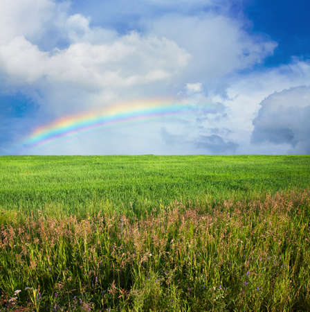 beautiful sky and summer fields の写真素材