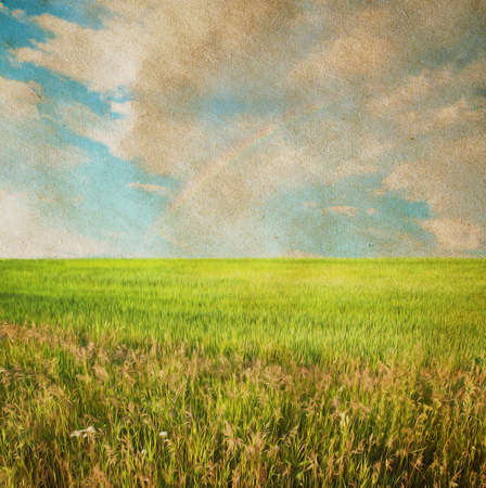 beautiful sky and summer fields の写真素材