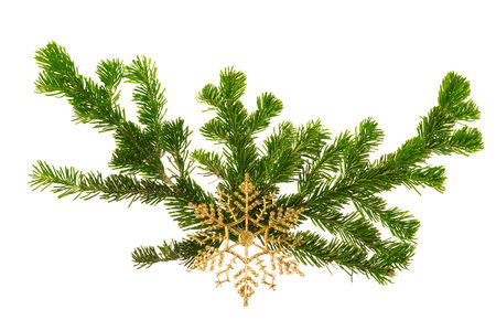 christmas decoration isolated on the white 