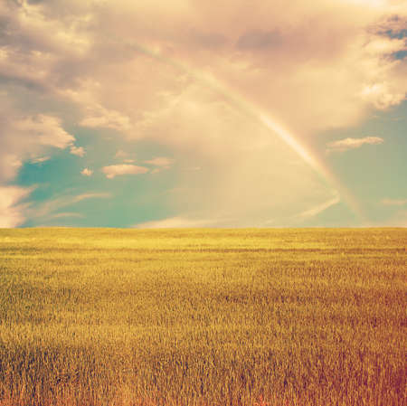 beautiful sky with rainbow and summer fields, retro film filteredの写真素材