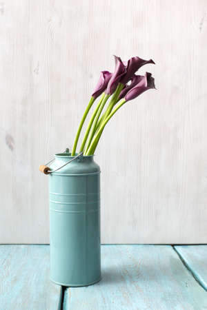 calla lily in can on blue tableの写真素材