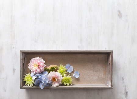 Hydrangea and Dahlia, wood box with garden flowers bouquet on white tableの写真素材