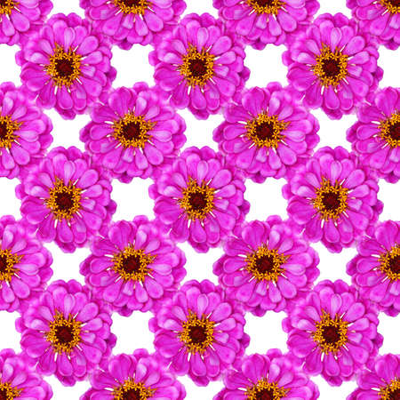 seamless flowers pattern, floral backgroundの写真素材
