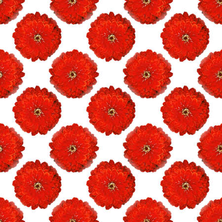 seamless flowers pattern, floral backgroundの写真素材