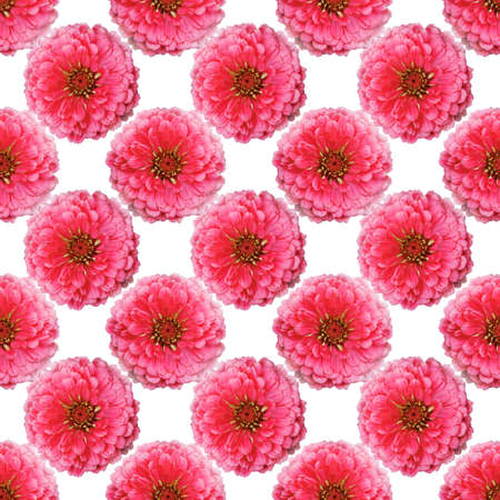 seamless flowers pattern, floral backgroundの写真素材