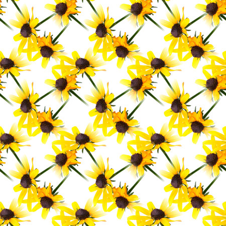 seamless flowers pattern, floral backgroundの写真素材