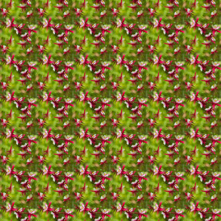 seamless flowers pattern, floral backgroundの写真素材