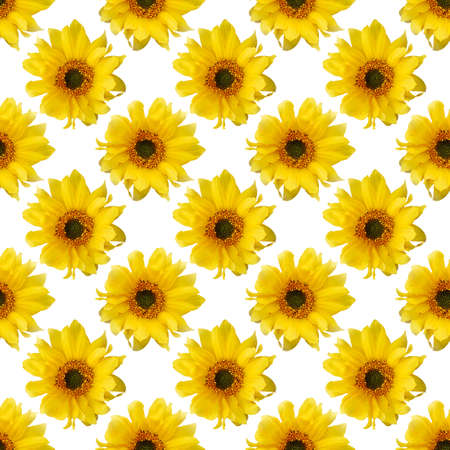 seamless flowers pattern, floral backgroundの写真素材