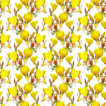 seamless flowers pattern, floral backgroundの写真素材