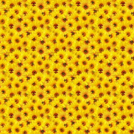 seamless flowers pattern, floral backgroundの写真素材