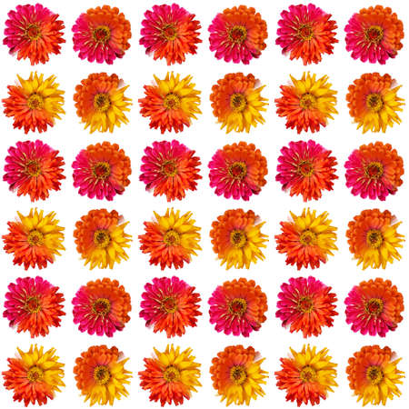 seamless flowers pattern, floral backgroundの写真素材