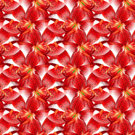 seamless flowers pattern, floral backgroundの写真素材
