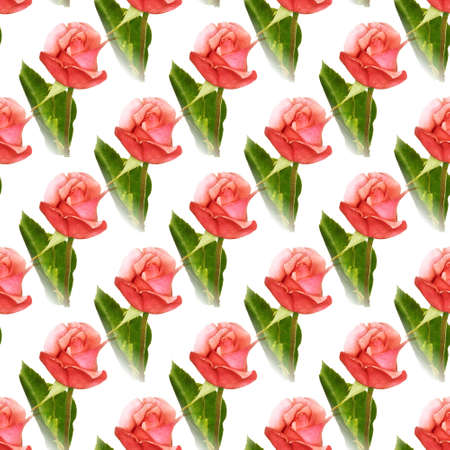 seamless flowers pattern, floral backgroundの写真素材