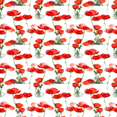 seamless flowers pattern, floral backgroundの写真素材