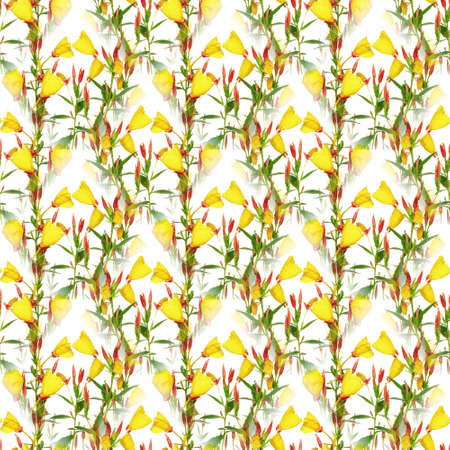 seamless flowers pattern, floral backgroundの写真素材