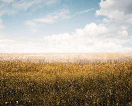 sky and autumn fieldsの写真素材