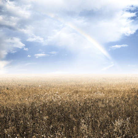 sky and autumn fieldsの写真素材