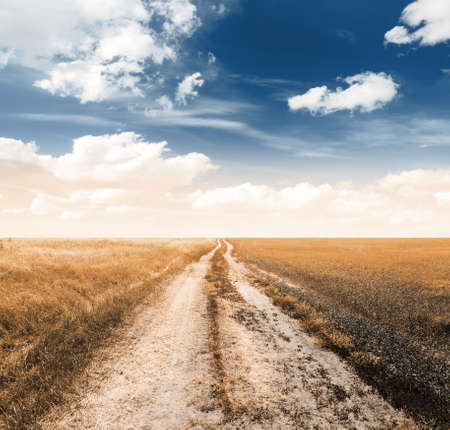 Road in the autumn fieldsの写真素材