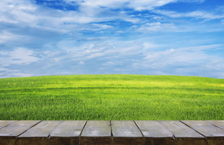 wooden table with field landscape, backgroundの写真素材