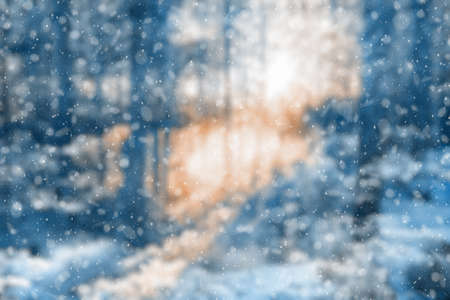 blurred winter forest, falling snow bokehの写真素材
