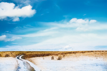 beautiful frozen fields, winter landscape.の写真素材