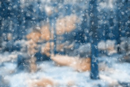 blurred winter forest, falling snow bokehの写真素材