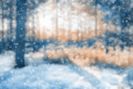blurred winter forest, falling snow bokehの写真素材