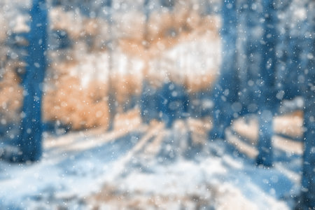 blurred winter forest, falling snow bokehの写真素材
