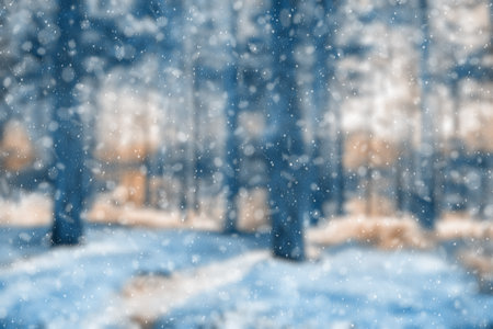 blurred winter forest, falling snow bokehの写真素材