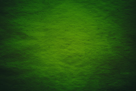 old paper texture, green backgroundの写真素材