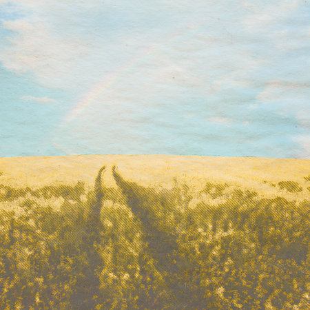 in the fields, retro background on old paper textureの写真素材