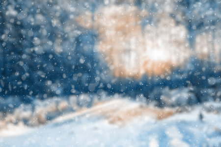 blurred winter forest, falling snow bokehの写真素材