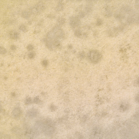 old paper texture, square grunge backgroundの写真素材