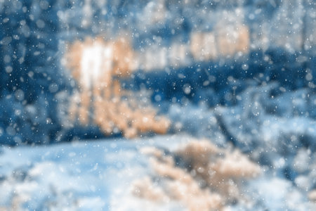 blurred winter forest, falling snow bokehの写真素材