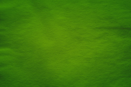 old paper texture, green backgroundの写真素材