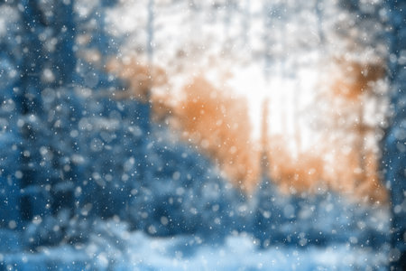 blurred winter forest, falling snow bokehの写真素材